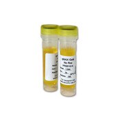 qMax Gold, no Rox qPCR mix